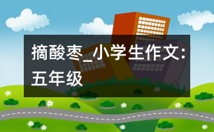 摘酸棗_小學生作文:五年級