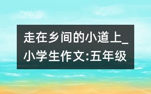 走在鄉(xiāng)間的小道上_小學(xué)生作文:五年級(jí)