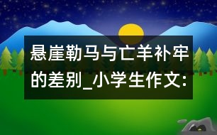 懸崖勒馬與亡羊補牢的差別_小學生作文:五年級