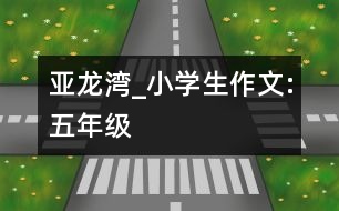 亞龍灣_小學生作文:五年級