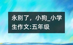 永別了，小狗_小學生作文:五年級