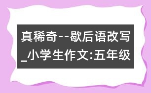 真稀奇--歇后語(yǔ)改寫(xiě)_小學(xué)生作文:五年級(jí)