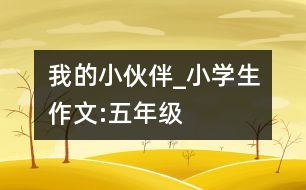 我的“小伙伴”_小學生作文:五年級