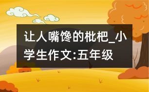 讓人嘴饞的枇杷_小學(xué)生作文:五年級(jí)