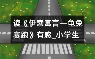 讀《伊索寓言―龜兔賽跑》有感_小學(xué)生作文:五年級