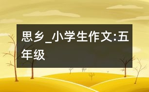 思鄉(xiāng)_小學(xué)生作文:五年級