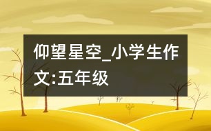 仰望星空_小學生作文:五年級