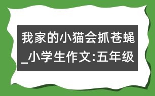 我家的小貓會(huì)抓蒼蠅_小學(xué)生作文:五年級(jí)