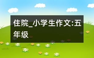 住院_小學生作文:五年級