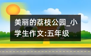 美麗的荔枝公園_小學(xué)生作文:五年級