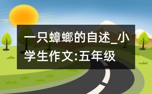 一只蟑螂的自述_小學(xué)生作文:五年級(jí)