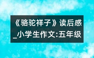 《駱駝祥子》讀后感_小學生作文:五年級