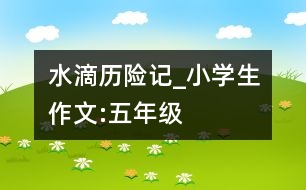 水滴歷險記_小學生作文:五年級