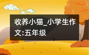 收養(yǎng)小貓_小學(xué)生作文:五年級