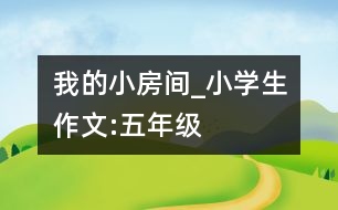 我的小房間_小學(xué)生作文:五年級(jí)