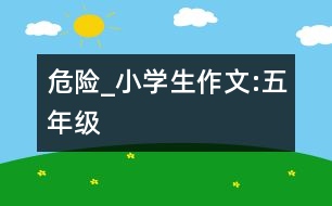 危險(xiǎn)_小學(xué)生作文:五年級