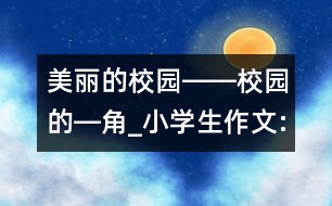 美麗的校園――校園的―角_小學生作文:五年級