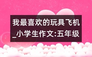 我最喜歡的玩具飛機_小學生作文:五年級