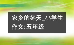 家鄉(xiāng)的冬天_小學生作文:五年級