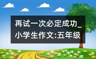 再試一次,必定成功_小學(xué)生作文:五年級(jí)