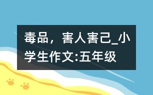 毒品，害人害己_小學(xué)生作文:五年級(jí)