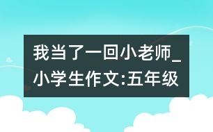 我當(dāng)了一回小老師_小學(xué)生作文:五年級