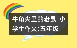 牛角尖里的老鼠_小學(xué)生作文:五年級(jí)