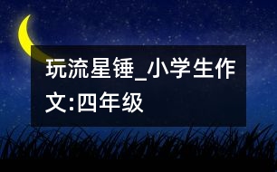 玩流星錘_小學(xué)生作文:四年級