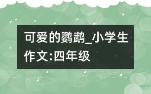 可愛的鸚鵡_小學(xué)生作文:四年級