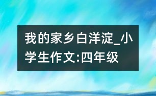 我的家鄉(xiāng)白洋淀_小學(xué)生作文:四年級