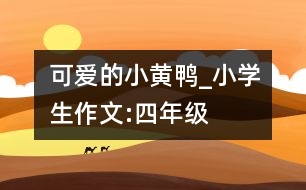 可愛的小黃鴨_小學(xué)生作文:四年級