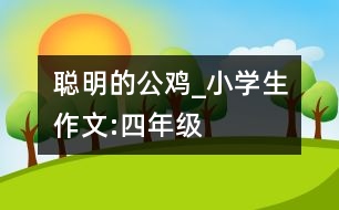 聰明的公雞_小學生作文:四年級