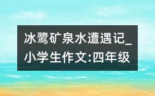 冰鷺礦泉水遭遇記_小學(xué)生作文:四年級