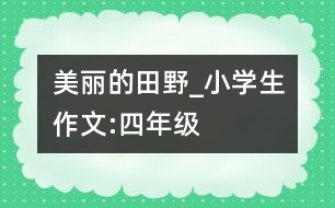 美麗的田野_小學(xué)生作文:四年級(jí)