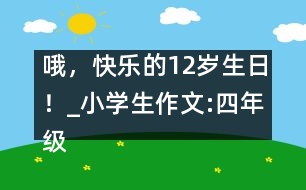 哦，快樂(lè)的12歲生日！_小學(xué)生作文:四年級(jí)