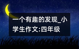 一個(gè)有趣的發(fā)現(xiàn)_小學(xué)生作文:四年級(jí)