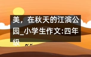 美，在秋天的江濱公園_小學生作文:四年級