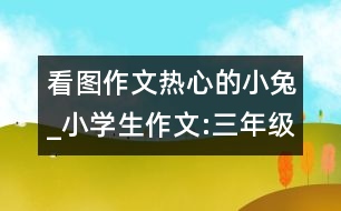 看圖作文熱心的小兔_小學(xué)生作文:三年級