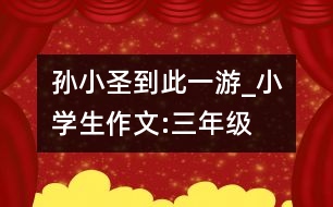 “孫小圣到此一游”_小學(xué)生作文:三年級(jí)