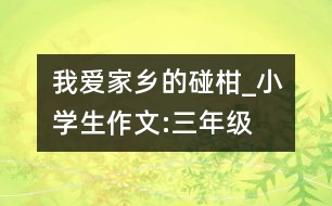 我愛家鄉(xiāng)的碰柑_小學(xué)生作文:三年級