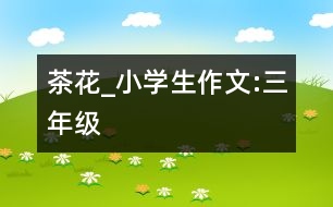 茶花_小學(xué)生作文:三年級