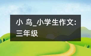 小 鳥_小學生作文:三年級