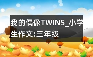 我的偶像TWINS_小學(xué)生作文:三年級