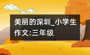 美麗的深圳_小學(xué)生作文:三年級