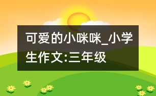 可愛的小咪咪_小學(xué)生作文:三年級