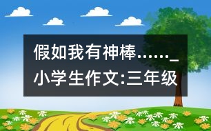 假如我有神棒……_小學(xué)生作文:三年級