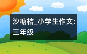 沙糖桔_小學(xué)生作文:三年級