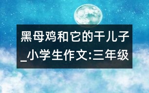 黑母雞和它的干兒子_小學生作文:三年級