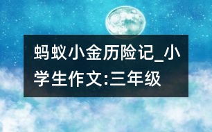 螞蟻小金歷險(xiǎn)記_小學(xué)生作文:三年級(jí)