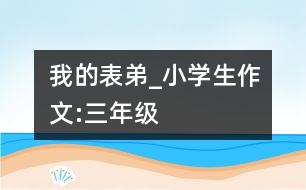 我的表弟_小學生作文:三年級